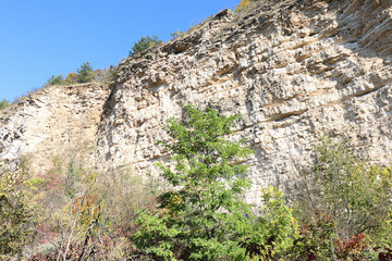Obraz premium A large hill in the forest overgrown with deciduous and coniferous trees. Limestone hill. Places of lime extraction
