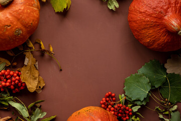 Autumn concept with a pumpkin on a dark background with autumn leaves. celebrating Halloween and Thanksgiving. pumpkin decoration and cooking. horror and Halloween outfit. ripe orange pumpkin for food