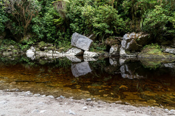 Oparara river flowing through lush and untouched temperate rainforest