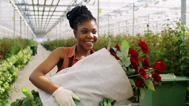 Young African American woman in gloves walking with bouquet of red roses through flower greenhouse