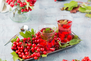 A decoction of ripe viburnum berries in glasses and branches with berries and leaves of viburnum on a substrate on the table. Alternative medicine, wellness and vitamin nutrition