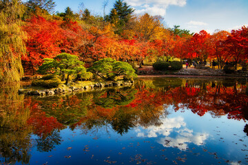 Breathtaking shot of a river in a forest full of colorful leaves in autumn in Korea