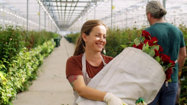 Cheerful Caucasian woman in apron walking with bunch of roses in flower greenhouse and smiling