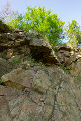 Plants in a granite rock. Cracked granite stones and green plants