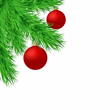 Pine branches and christmas ball isolated on white background