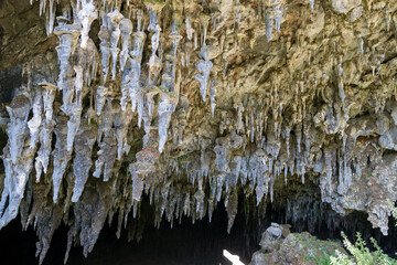 Rawhiti Cave - Abel Tasman National Park, New Zealand