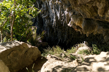 Rawhiti Cave - Abel Tasman National Park, New Zealand