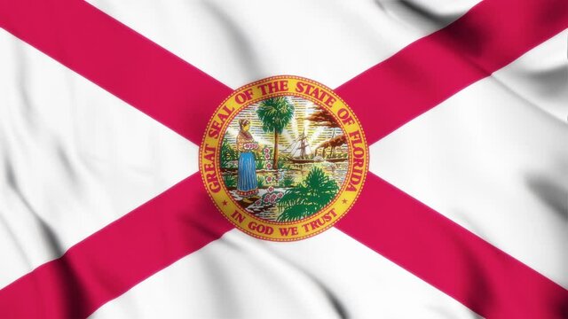 Florida State Looping Flag Waving Animation