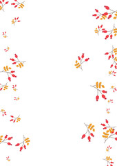 Red Foliage Background White Vector. Leaves Border Set. Burgundy Herb Landscape. Wood Design. Berries Fly.