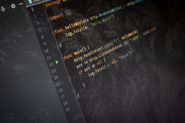 GoLang Hello World code on screen