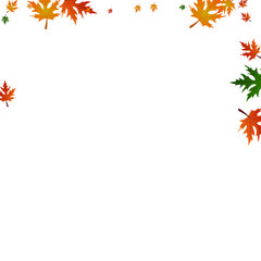 Brown Maple Background White Vector. Floral September Frame. Orange October. Beautiful Illustration. Green Leaves November.