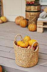 Autumn harvest terrace background. Halloween. Country. Pumpkins and flowers. Vacation home. Thanksgiving Day
