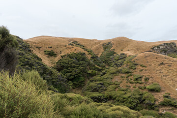 Cape Farewell South Island New Zealand