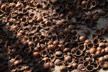flooring with hazelnut shells. Gardening