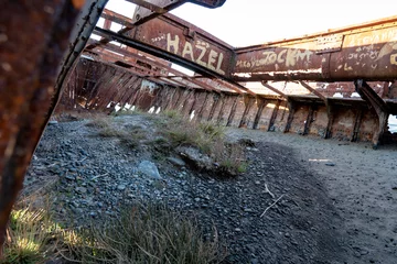 Washable wall murals Shipwreck SS Waverly ship wreck near Blenheim, South Island, New Zealand