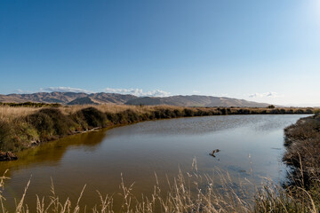 Wairau Lagoons Walkway in New Zealand
