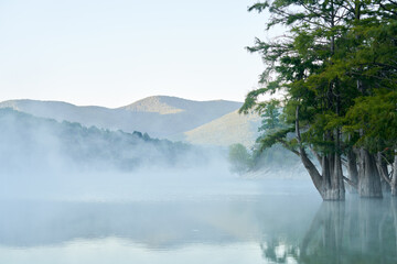 Swamp cypresses in the lake against the background of mountains at sunrise. The surface of the reservoir is covered with fog. Trees are reflected in the water through the fog.  Copy space.