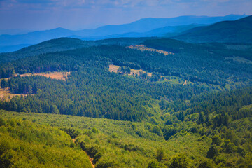Fototapeta na wymiar Green mountain scenic in Stara Planina, Bulgaria