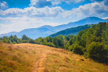 Walking path in lesser mountain highlands of Stara Planina, Bulgaria