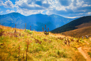 Sunlit scenic with a distant view of Triglav peak in Stara Planina, Bulgaria