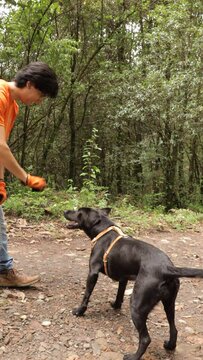 Vertical Video Of A Man Wearing An Orange T-shirt, Taking Off The Leash Of His Black Dog And Throwing A Ball.