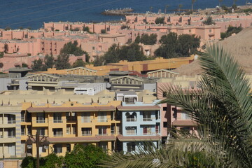 houses in the city