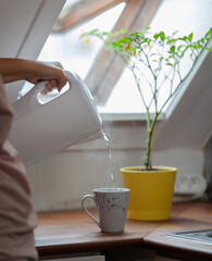 A kitchen pastoral