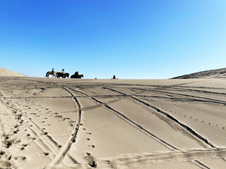 Fototapeta na wymiar horseback ride in dunes