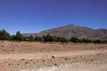 Fototapeta na wymiar Africa Morocco desert Atlas mountains nature rock landscape with river palm under blue sky hot weather 