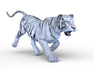 ホワイトタイガー