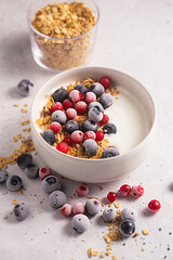 Bowl of homemade yogurt with granola and frozen berries covered with hoarfrost