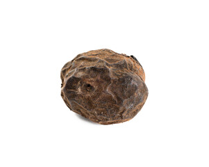 nut in dry brown shell isolated on white background