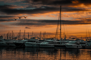 sunset at the marina