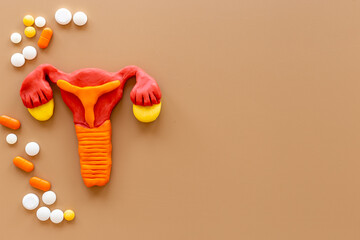 Female uterus and ovaries model - health reproductive system