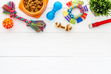 Dry dog food in bowl with toys and treats, top view