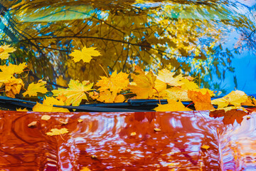 Colorful scenic autumn background, fallen leaves on bumper of car and reflections of trees in glass