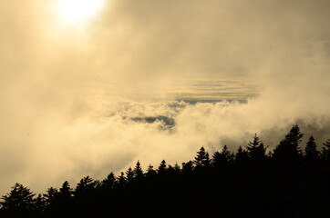fog in the mountains