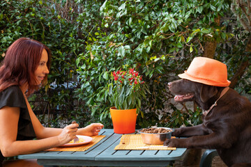 woman having dinner at the table with a dog wearing a hat, comic photo, dogs as humans