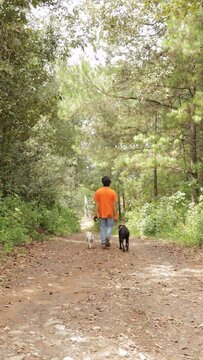 vertical video of a man dressed in an orange t-shirt, walking in the forest with his two dogs