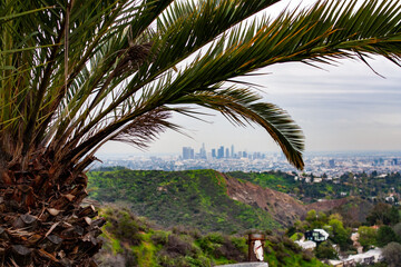 LA Skyline from Griffith Park 