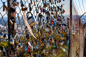Locks on a Chain Link Fence at Griffith Park 