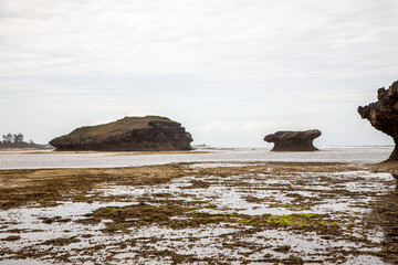 Widok plaży ze skałami podczas odpływu w Watamu
