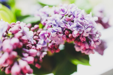 close-up of bunch of purple flowers including lillac in vase indoor by the window