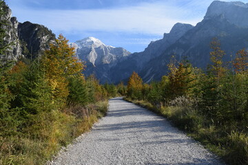 Autumn Forest Mountain Path