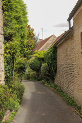 Fototapeta na wymiar Centre - Loiret - Yèvre-le-Chatel - Ruelle arborée