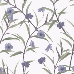 Fototapeten Floral seamless pattern, purple ruellia tuberosa flowers and leaves on light purple © momosama