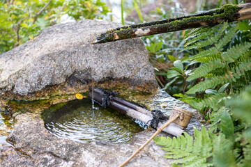 Stone water basin with bamboo pipe. Japanese garden motif.