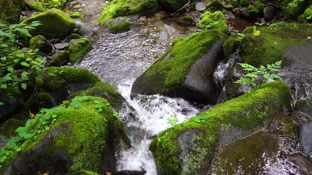 The water flowing through the beautiful green moss valley