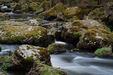 smooth motion of wild water in a river in summer with rocks and stones in the beautiful nature of a forest - triebtal