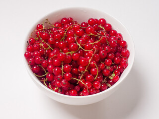 Red currant berry in a white bowl. View from above. Studio photography